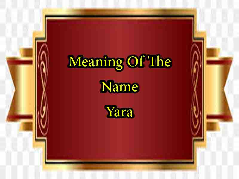 what-the-name-yara-means-and-what-numerologists-say-about-it