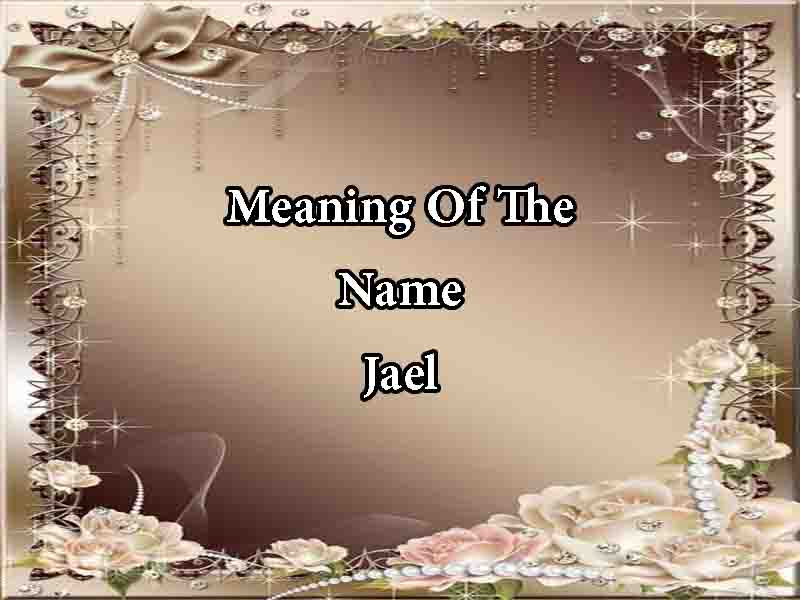 Meaning Of The Name Jael Origin, Numerology & Popularity